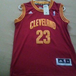 Lebron James Cleveland Jersey